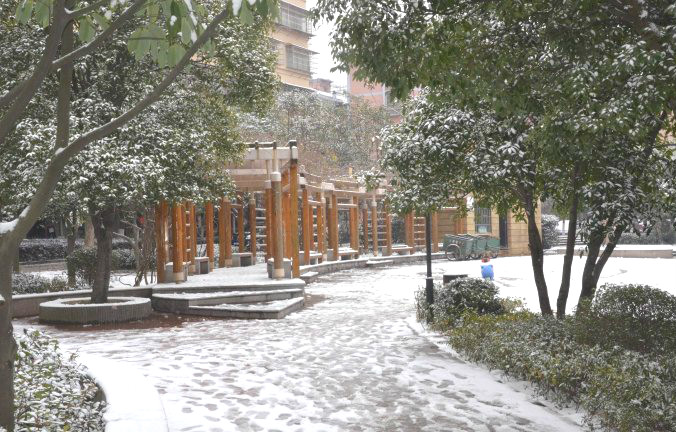 初雪逢周末，多個(gè)項(xiàng)目及時(shí)展開清理工作