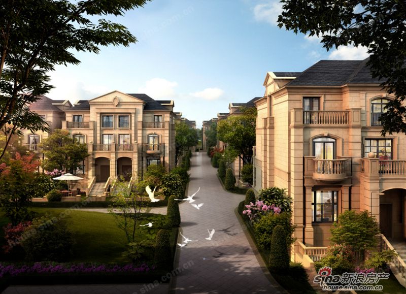 專業(yè)凝聚力量——江陰市住建局領(lǐng)導(dǎo)蒞臨清楓和院