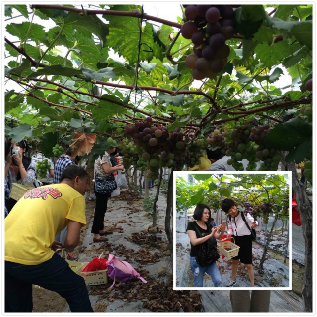 QQ圖片20150713092856.png