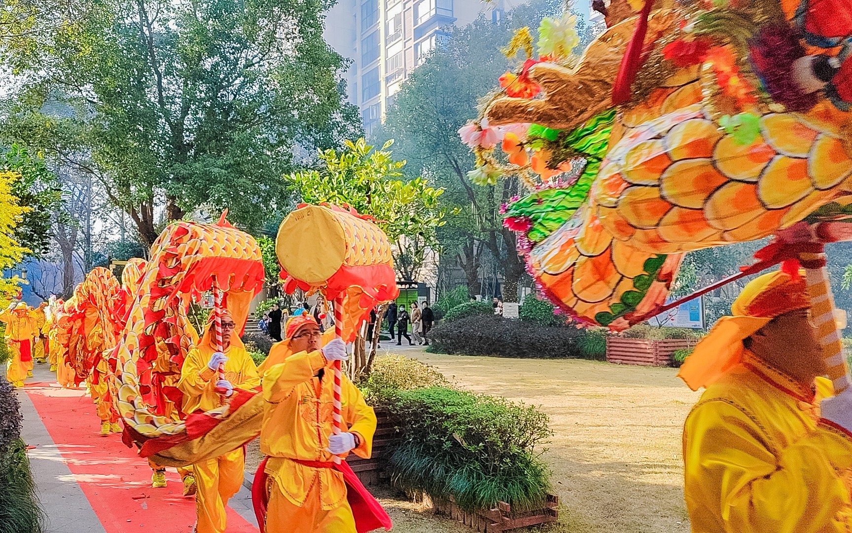 20240219-鑼鼓-舞獅-舞龍4.jpg